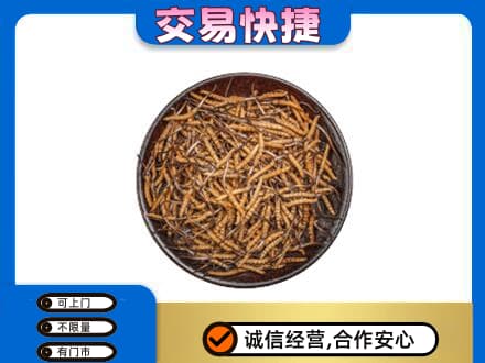 阿里措勤县高价回收散虫草